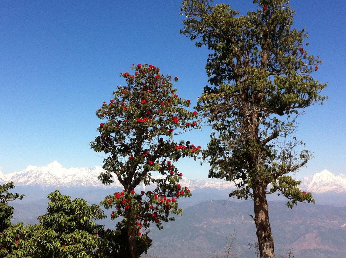 Thikalna Himalayan Retreat Villa Almora Buitenkant foto