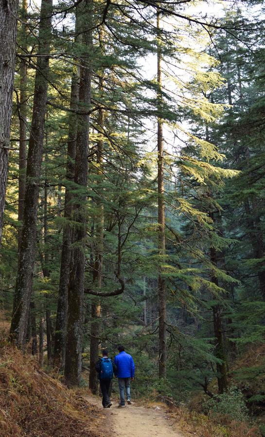 Thikalna Himalayan Retreat Villa Almora Buitenkant foto